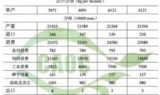 主产区粮企累计收购1310亿斤 秋粮收购已累计超4000万吨