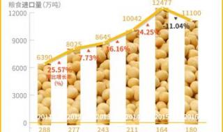 主产区粮企累计收购1310亿斤 秋粮收购已累计超4000万吨