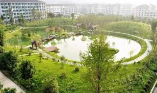 杭州长征职业技术学院