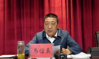 扫黑行动电影免费观看