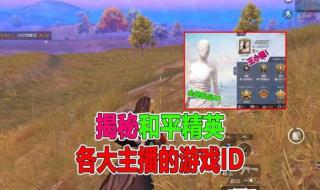 几乎没有人用的单字id